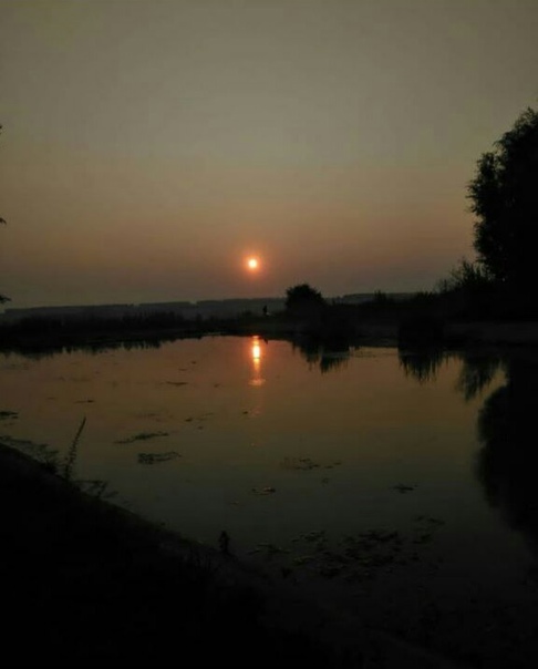 Может ты меня вылечишь