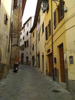 Музыкант Ареццо