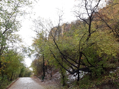 Ноябрьский иней...