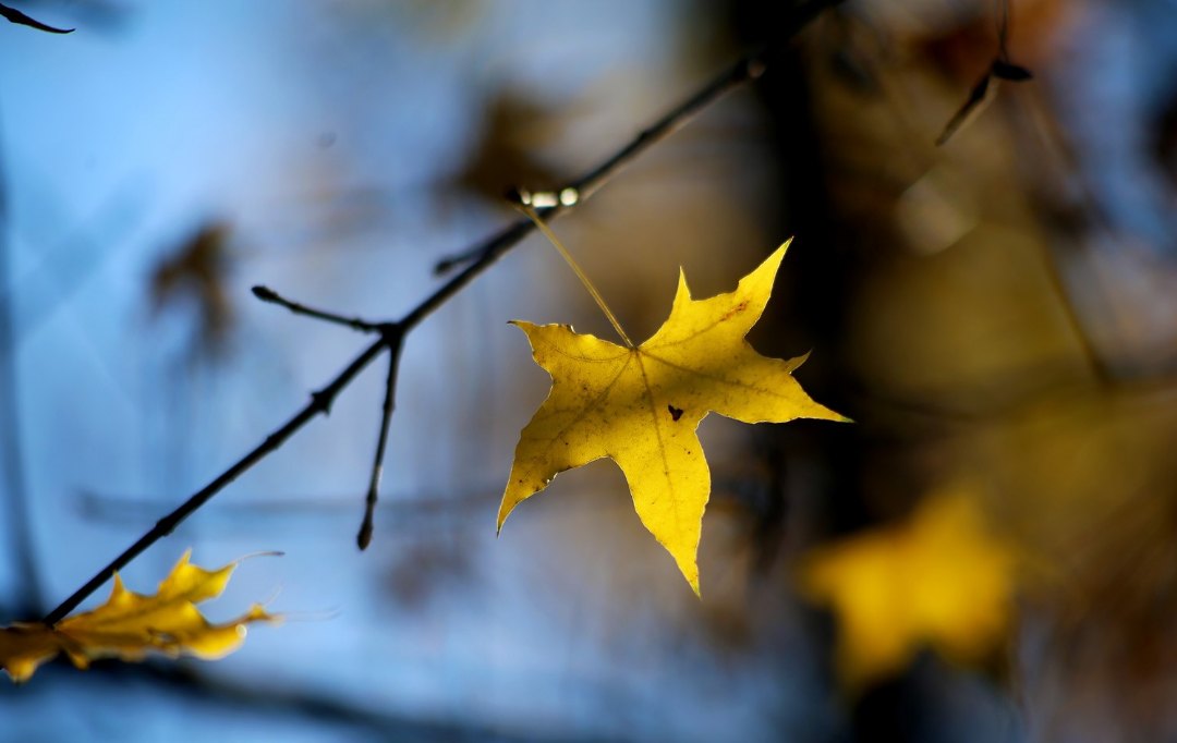 Лирика философская