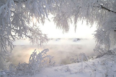 Стужа душу леденит