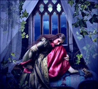 Ждёт рыцаря без страха и упрёка