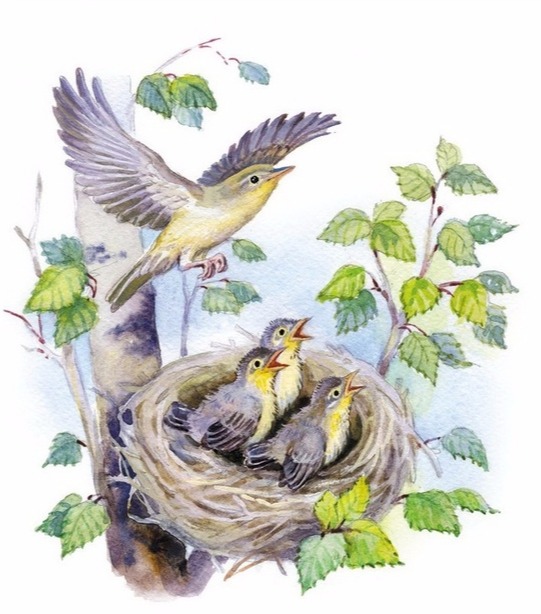 Тихая охота