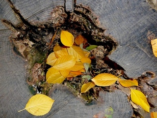 Нет, не просто далось это время...