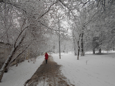 Сквозь снег иду!