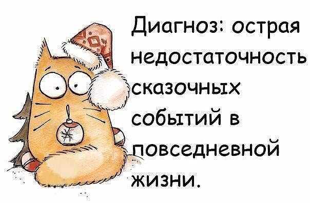 Неожиданная встреча