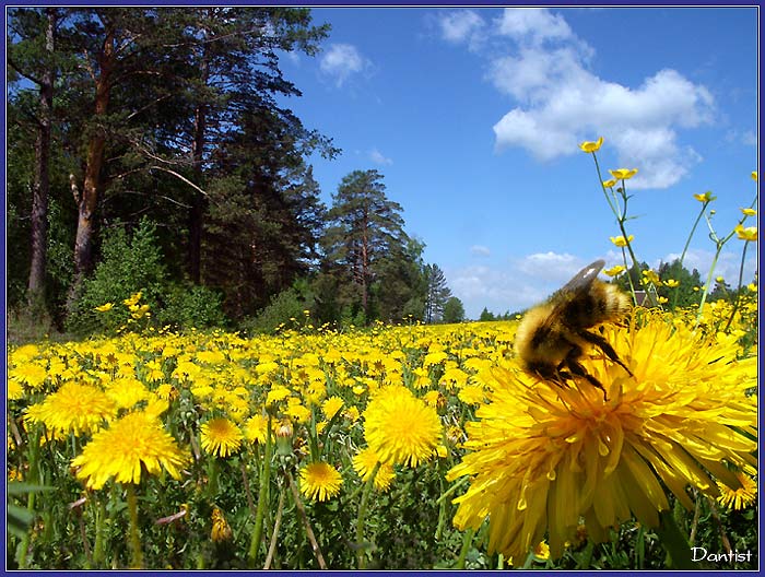 Трудягам - дням - побольше б солнца