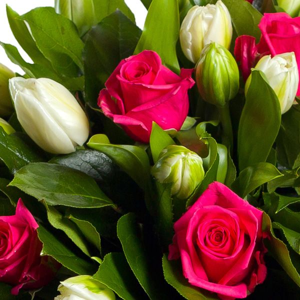 Купить розы и тюльпаны. Розы и тюльпаны. Шикарный букет тюльпанов. Красивые розы и тюльпаны.