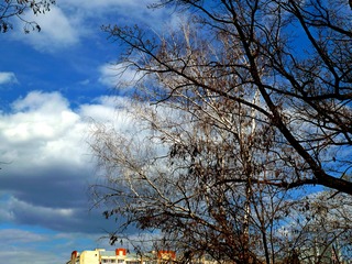 Быть может...