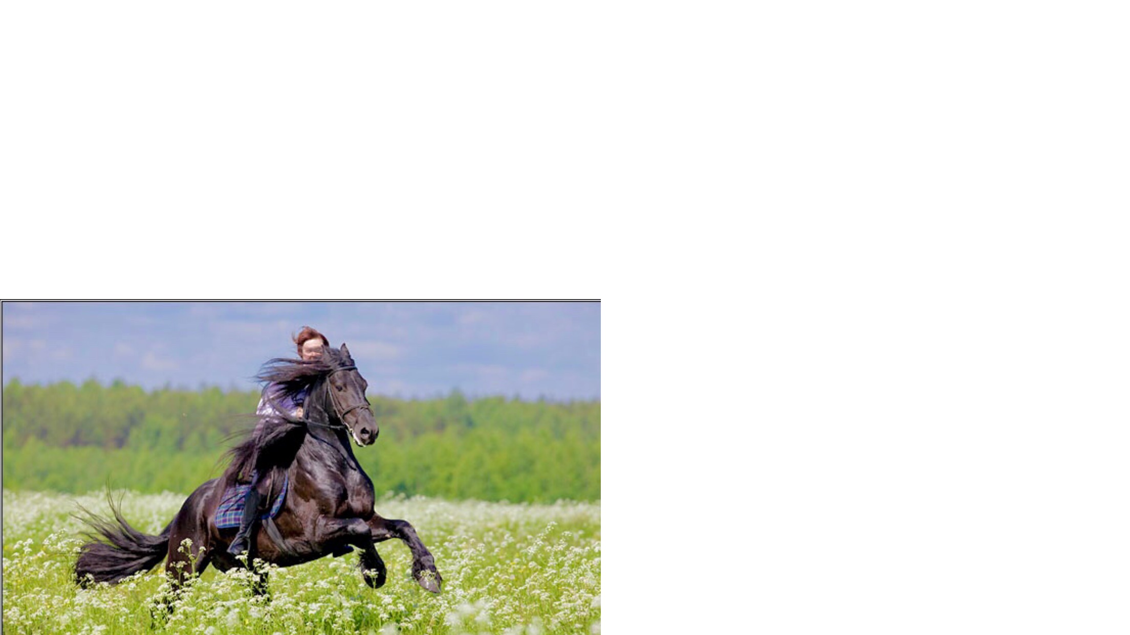 Пойду пойду по улице