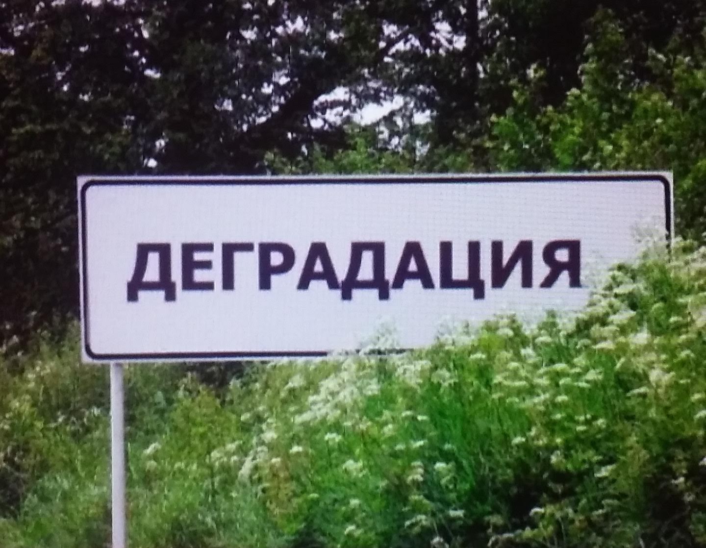 Как можно заменить слово деградация