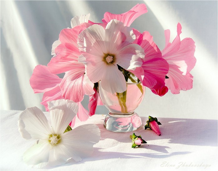 Другой - не будет!