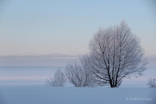 Дрожит в тумане горизонт...