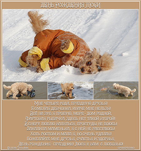 День рождения Люси