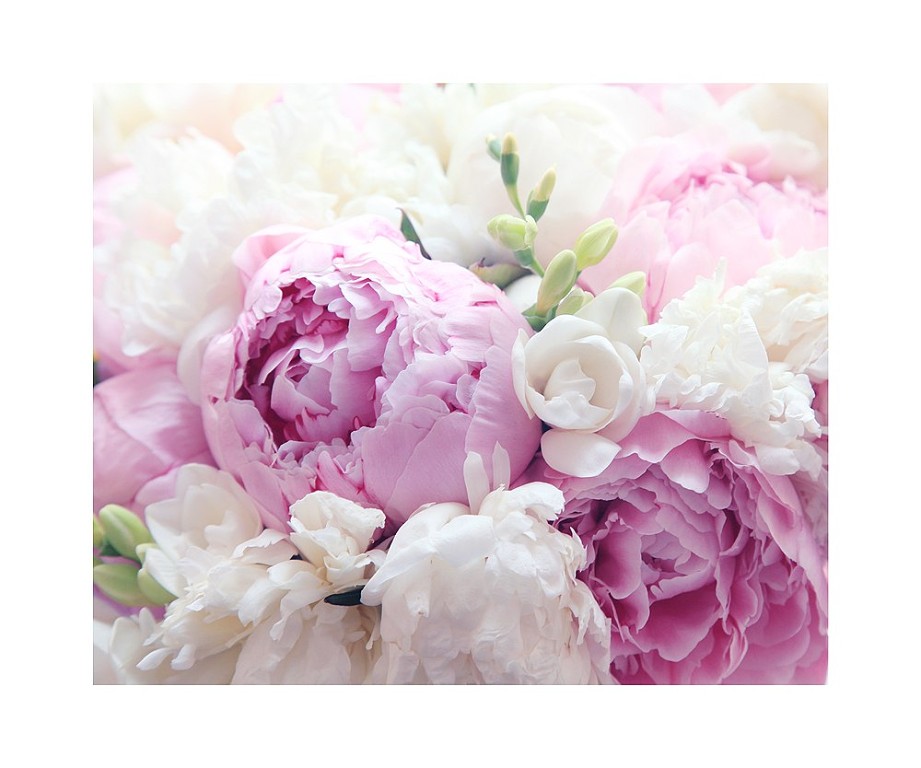 Жизнь или Смерть - администратор?