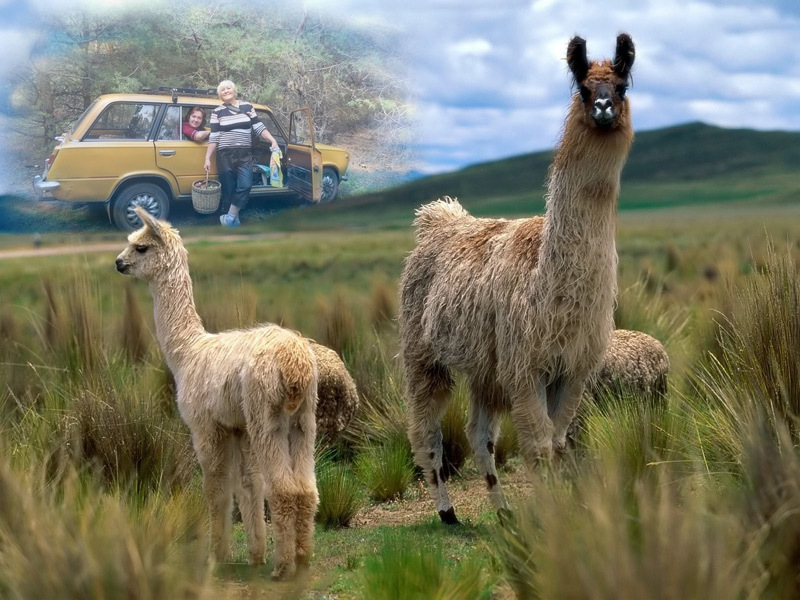 Ох, уж этот фотошоп!!!