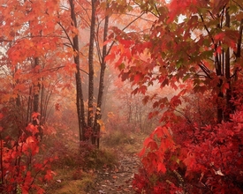 Осенние напевы