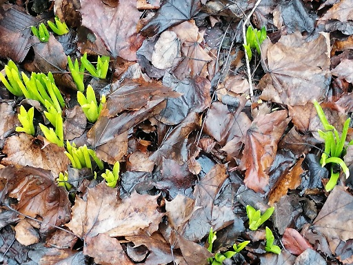 Где-то дождь, а где-то снег