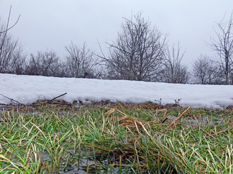 В объятиях солнечного круга