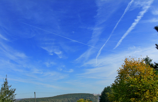 На виражах судьбы