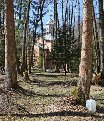 Сегодня Пасха вновь в апреле