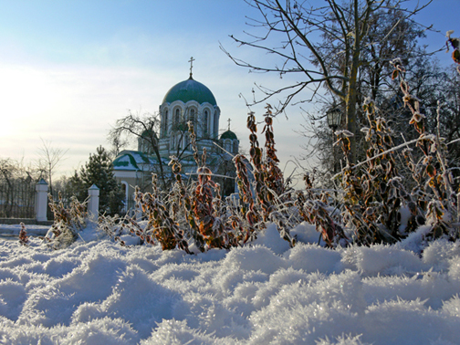 Рождество Христово - 2019