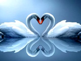 Не надо нам искать отдушин