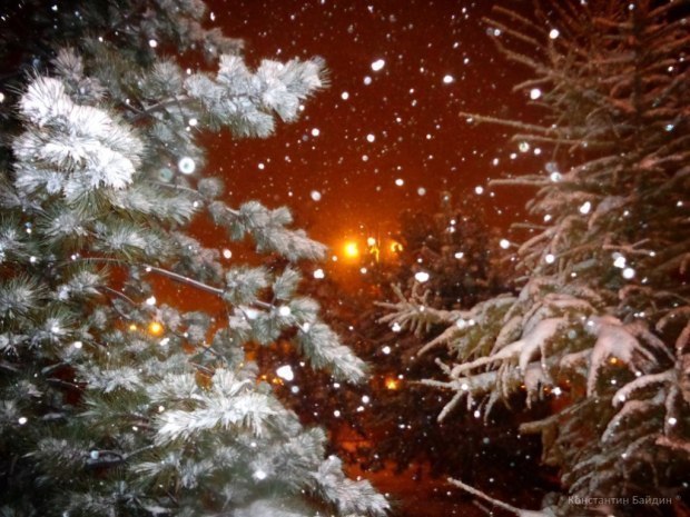 Январский снегопад