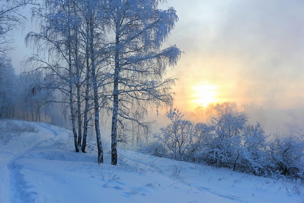 Месяц январь на исходе...