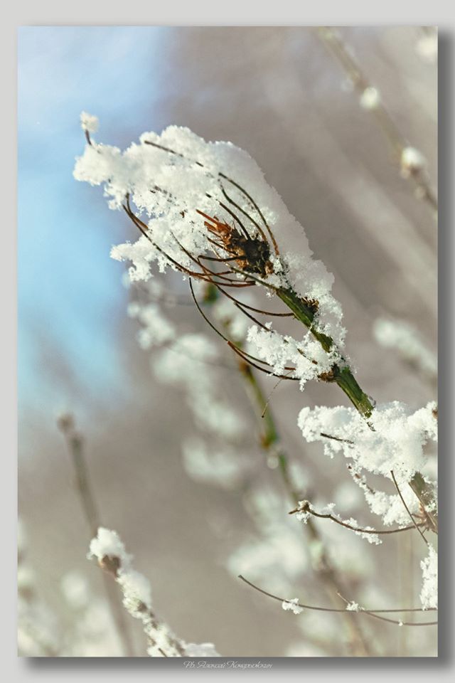 И падал снег...