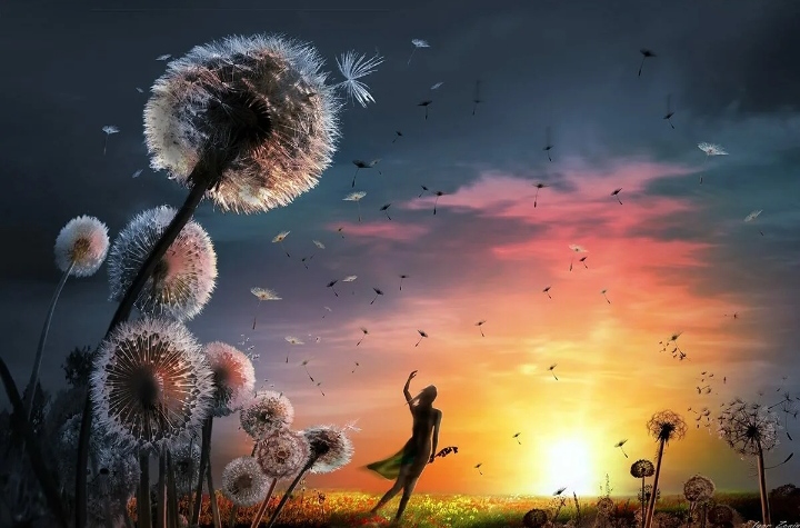 Светлое начало подарить...