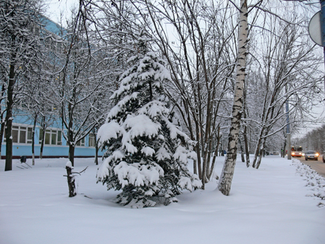 С Новым годом и Рождеством Христовым 2018!