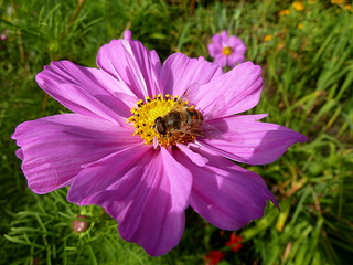 Ты позвони, когда захочешь