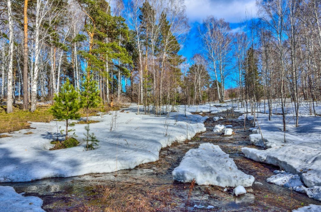 Солнечный лучик