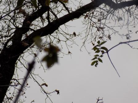 Удивить тебя...