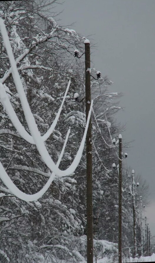 Налипает снег на провода...
