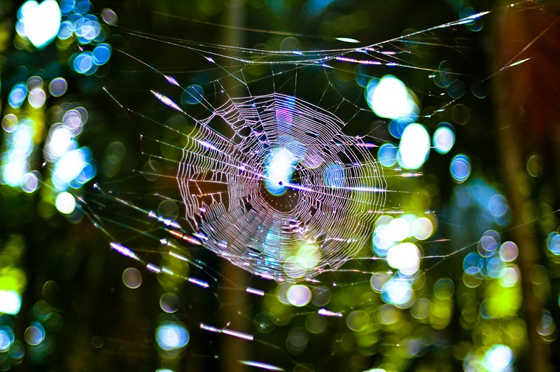 Ерунда, или просто настроение...