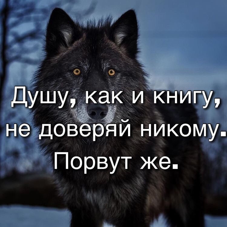 Не верь никому картинки со смыслом