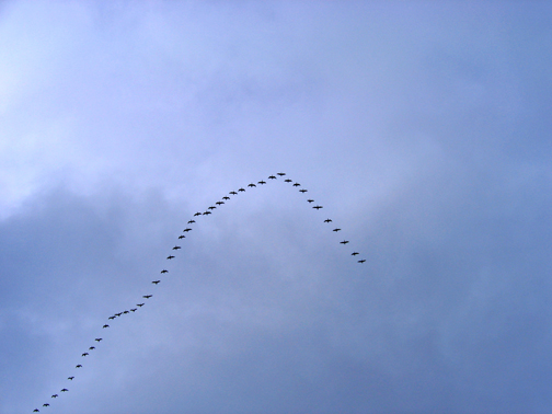 Как в юности на Брянщине