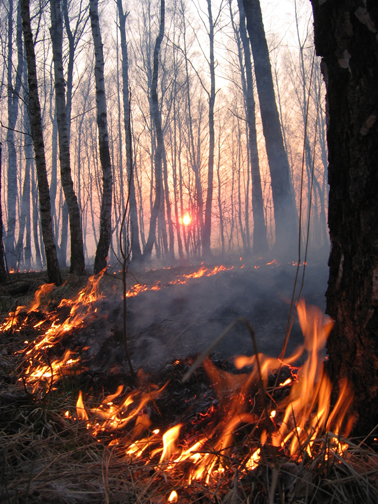 Обиды взрыв