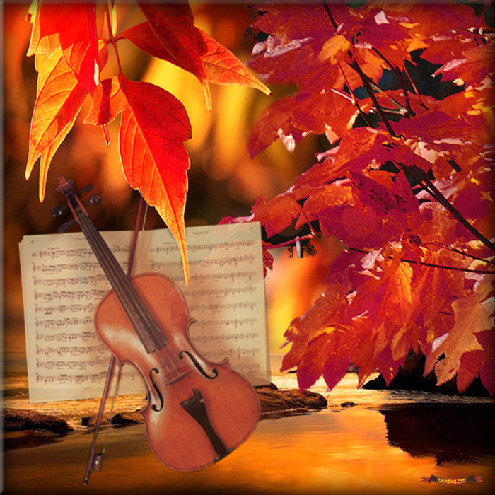 Осенние скрипки. Осенняя скрипка. Скрипка в осенней листве. Скрипка осенние листья. Музыкальные инструменты осень.