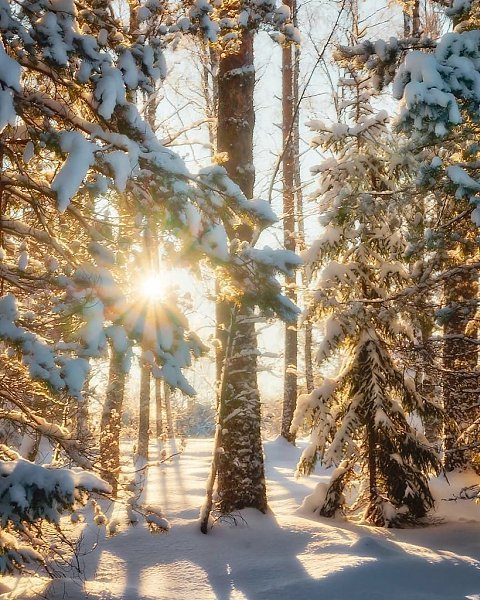 Капли радости