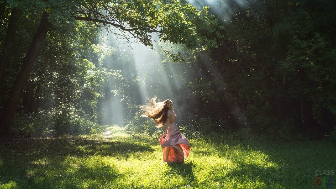 Ариадна потерялась