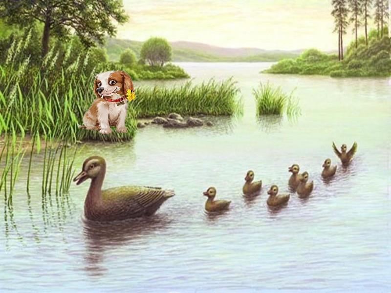 Рисунок пруд с утками