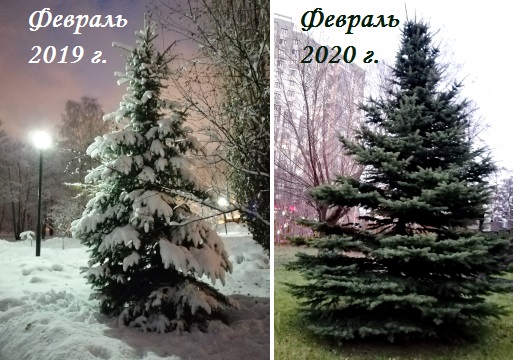 Что такое Зима? (Галина Волченкова) / Стихи ру