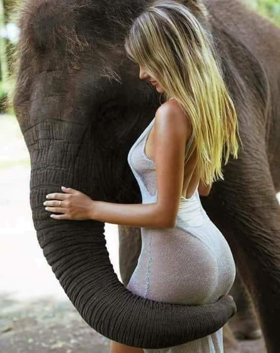 Ещё не вечен