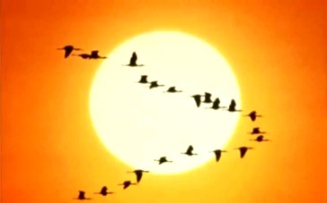 Это вечный закон