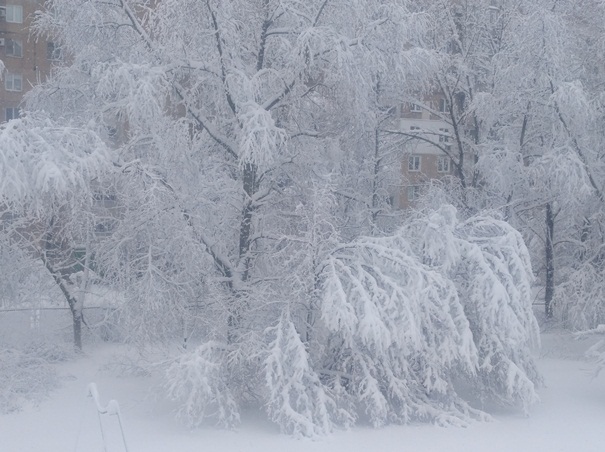 Сыпал снег