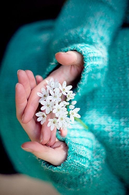 Поиски счастья...