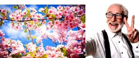 Что нам дней кавалькады?..